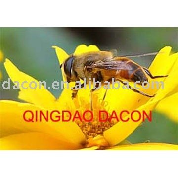 natural bee products 