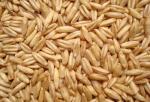 Oat straw extract