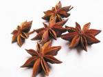 star anise extract 