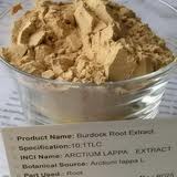 Burdock Root Extract