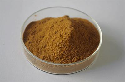 Grapefruit Seed Extract powder  